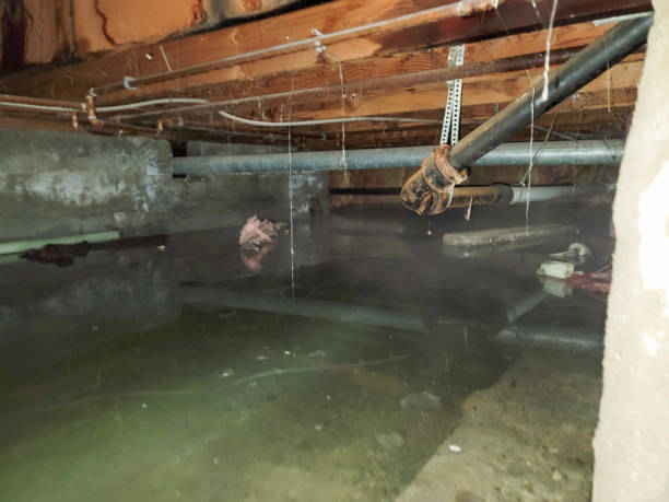 Best Water damage restoration experts  in Beavercreek, OH