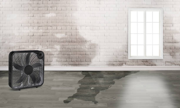Best Flood restoration services  in Beavercreek, OH