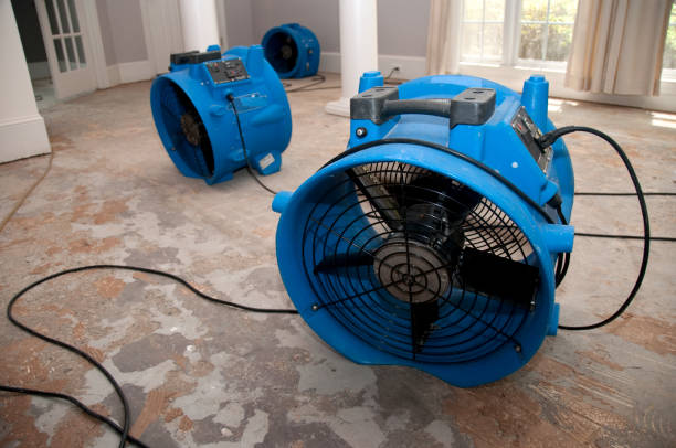 Best 24-hour water damage restoration  in Beavercreek, OH