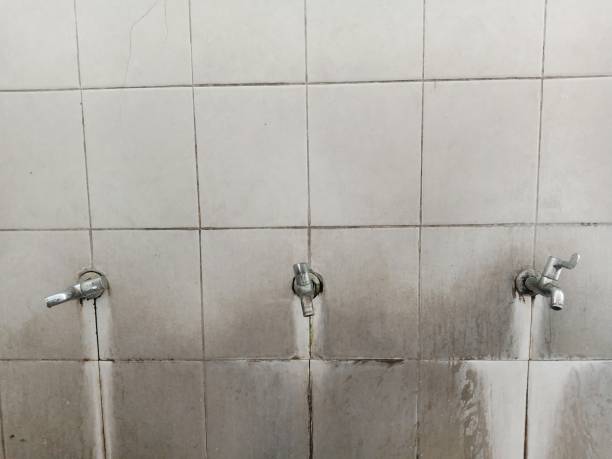 Best Water damage restoration services  in Beavercreek, OH