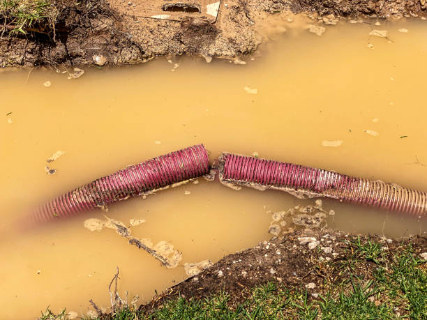 Best Sewage cleanup and water damage restoration  in Beavercreek, OH
