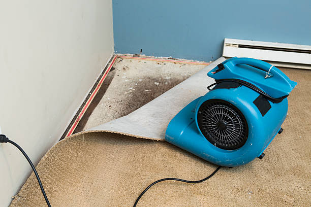 Best Fire Damage Restoration  in Beavercreek, OH